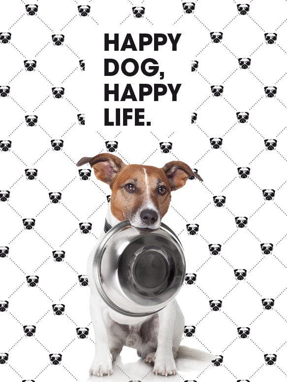 Jack Russel hat Hundenapf im Maul vor Hintergrund mit Gourmops Logo und Text